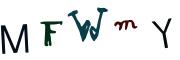Vaizdinė CAPTCHA užduotis