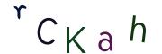 Vaizdinė CAPTCHA užduotis