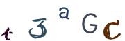 Vaizdinė CAPTCHA užduotis