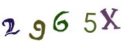 Vaizdinė CAPTCHA užduotis
