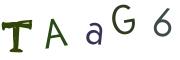 Vaizdinė CAPTCHA užduotis