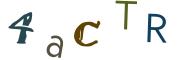 Vaizdinė CAPTCHA užduotis